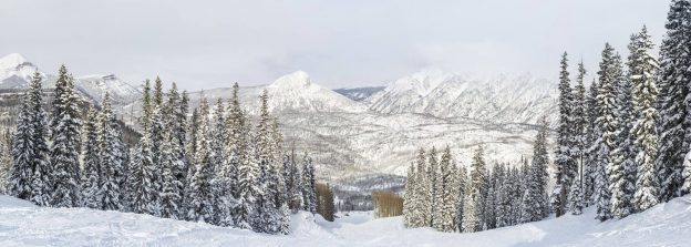 trees-and-mountains-in-the-snow-624x223